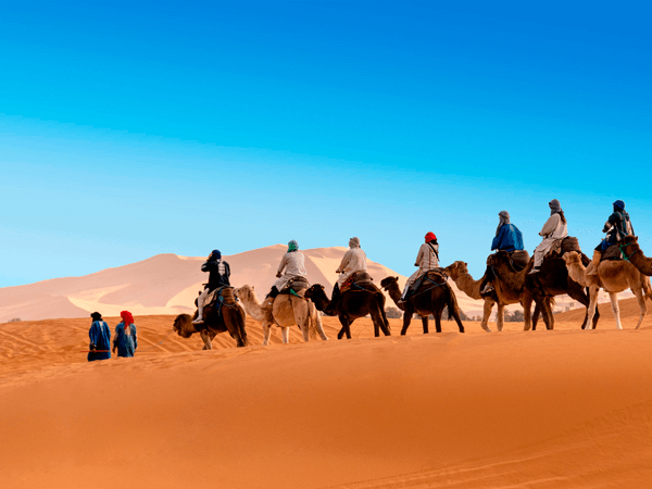 Camel trek in a bright day in Merzouga