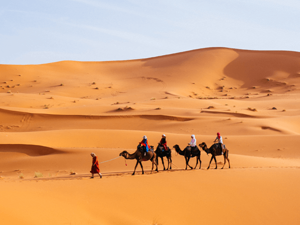 Camel trek in the dunes of Merzouga