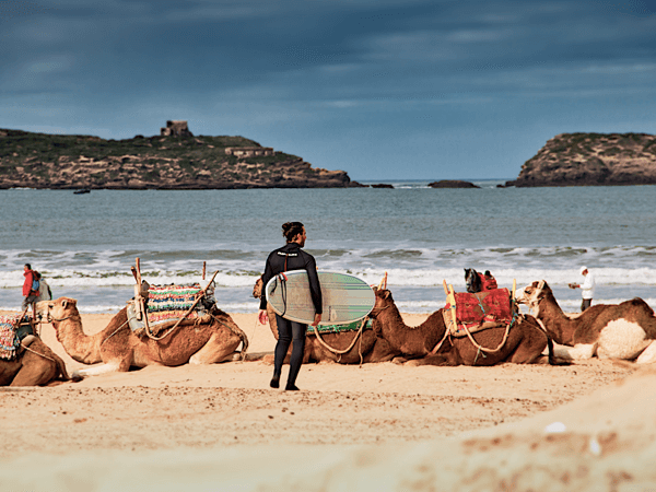 Surfer at Essaouira beach in front of camels