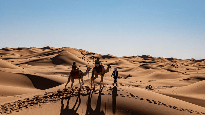 Camel trek in the Sahara of Merzouga