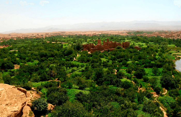 Valley of Roses Morocco tour from Marrakech